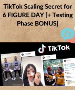 TikTok Scaling Secret for 6 FIGURE DAY [+ Testing Phase BONUS]