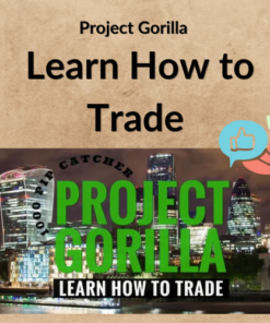 Project Gorilla – Learn How to Trade