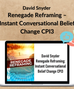 David Snyder – Renegade Reframing – Instant Conversational Belief Change CPI3