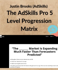 Justin Brooks (AdSkills) – The AdSkills Pro 5 Level Progression Matrix