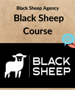 Black Sheep Agency β Black Sheep Course