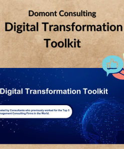 Domont Consulting – Digital Transformation Toolkit