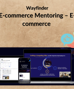 E-commerce Mentoring – E-commerce Wayfinder