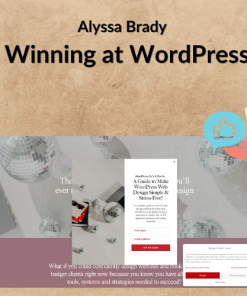 Alyssa Brady – Winning at WordPress