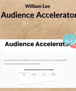 William Lee – Audience Accelerator
