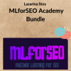 Lazarina Stoy – MLforSEO Academy Bundle