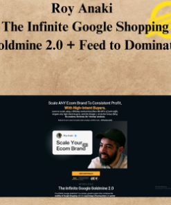 Roy Anaki - The Infinite Google Shopping Goldmine 2.0 + Feed to Dominate