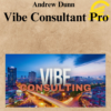 Andrew Dunn - Vibe Consultant Pro