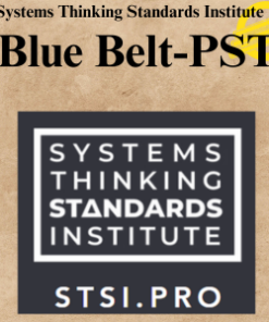Systems Thinking Standards Institute – Blue Belt-PST