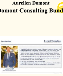 Aurelien Domont - Domont Consulting Bundle