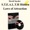 David Snyder - S.T.E.A.L.T.H Hidden Laws of Attraction