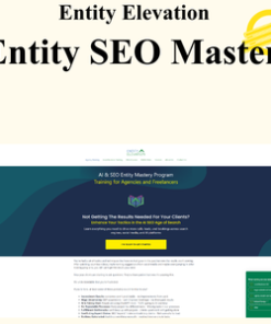 Entity Elevation - Entity SEO Mastery