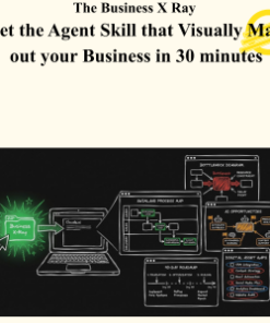 The Business X Ray - Get the Agent Skill that Visually Maps out your Business in 30 minutes