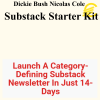 Dickie Bush Nicolas Cole - Substack Starter Kit