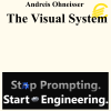 Andreis Ohneisser - The Visual System