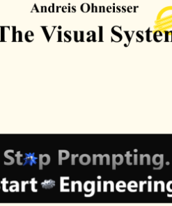 Andreis Ohneisser - The Visual System