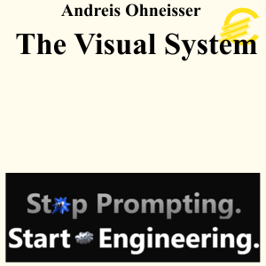 Andreis Ohneisser - The Visual System