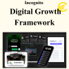 Incognito - Digital Growth Framework